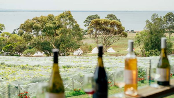 winery tours bellarine peninsula